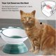 thumbnail image 3 of Cuenco para gatos elevado, cuenco para gatos de cerámica elevado con ángulo inclinado, protege la columna vertebral de las mascotas MFZFUKR L, 3 of 5