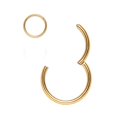 thumbnail image 1 of MesaSe Nose Rings for Women Surgical Steel Hypoallergenic Hinged Small Nose Ring, 1 of 5