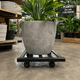 thumbnail image 2 of Base con Ruedas para Maceta de Metal Negro | Soporte Rodante 360° para Plantas, 2 of 9