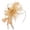 Khaki, variant on Lumistal Womens Fascinators Hats Tea Party Hats for Women Feather Veil Derby Hats for Women Headpiece Hat Clip Headband for Wedding Cocktail Accessories Halloween Decoration Khaki One Size