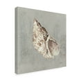 thumbnail image 2 of Trademark Fine Art 'Sand and Seashells II' Canvas Art by Lisa Audit, 2 of 3