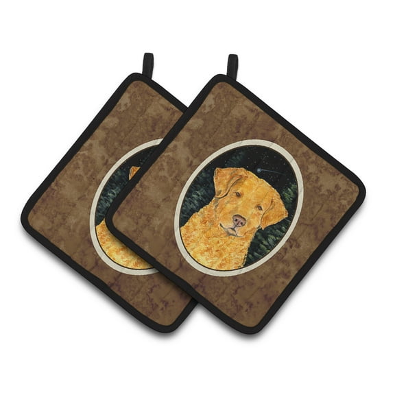 Carolines Treasures SS8487PTHD Starry Night Chesapeake Bay Retriever Pair of Pot Holders, 7.5HX7.5W, multicolor