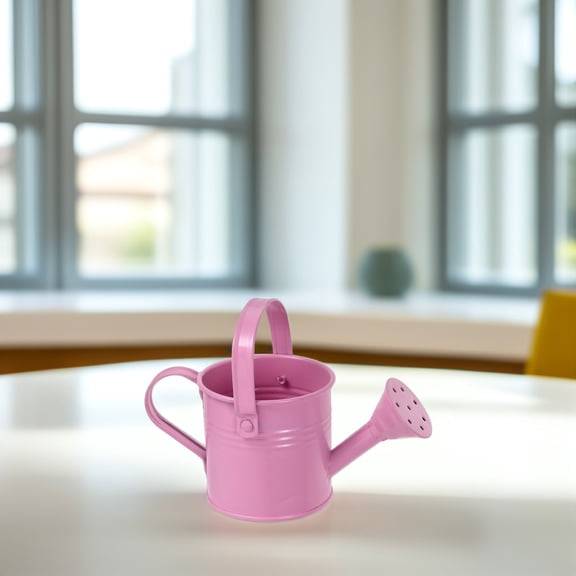 NICEXMAS Small Watering Can Bucket Flower Indoor Kids Watering Can Pot For Outdoor Indoor Flowers Succulents