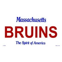 Massachusetts State Background License Plates- Bruins