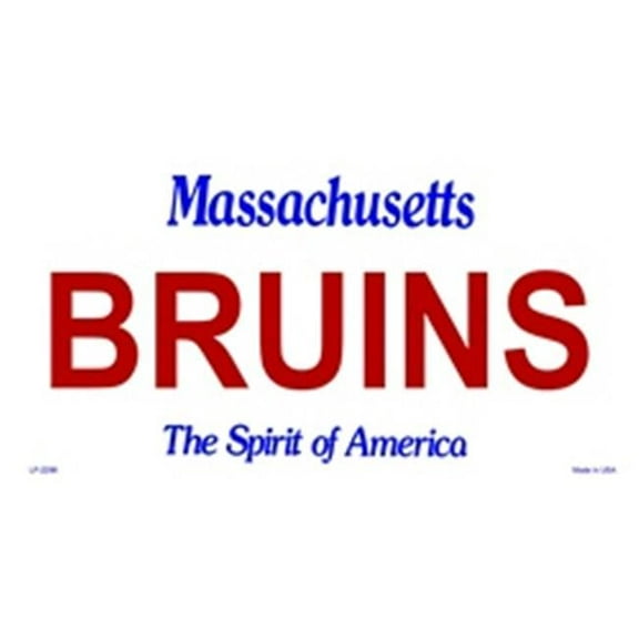 Massachusetts State Background License Plates- Bruins