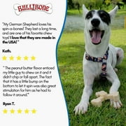 Bullibone Nylon Dog Chew Toy Spin-a-Bone - Interactive Dog Toy, Triggers Natural Instincts, and Improves Oral Health