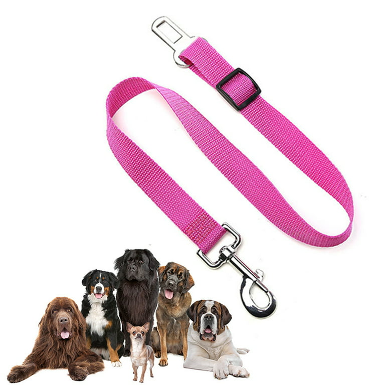 Dog Seat Belt, 7 Pack Adjustable Dog Safety Harness, Pet Seat Belt, Durable Dog  Seat Belts, Seat Belt for Large Medium Small Dogs for Pet Family 