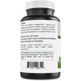 Brieofood Bilberry Extract 2000 mg per Serving 180 Capsules