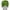 Green, variant on AllSett Health Natural Migraine Headache Relief Cap | One Size - BLACK