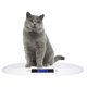 thumbnail image 1 of Báscula digital portátil para mascotas, perros y gatos SIKE Feline, 20 kg, 1 of 8