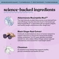 thumbnail image 3 of Lemme Metabolism Capsules, Clinically-Studied Akkermansia MucT® with Chromium & Black Ginger Extract to Support Metabolic Health, Gut Barrier Integrity, 30 Count, 3 of 7