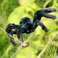thumbnail image 4 of 2FT Halloween Outdoor Decorations Hairy Plush Large Spider,Scary Giant Spider Fake Large Spider Hairy Spider Props for Halloween Yard Decorations Party Decor, Black, 4 of 8