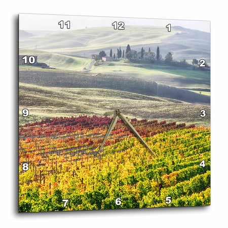 3drose, Italy, Tuscany, San Quirico Dorcia, Autumn Vineyards., 10x10 Wall Clock