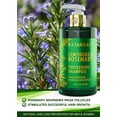 thumbnail image 3 of Botanical Hair Growth Rosemary Shampoo with Saw Palmetto for Hair Loss and Hair Thinning Prevention Scalp Soothing Natural Thickening Shampoo Regrowth Products For Women & Men 10.2 Fl Oz, 3 of 9