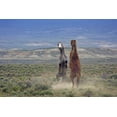 thumbnail image 2 of Illg, Cathy and Gordon 14x11 Gold Ornate Wood Framed with Double Matting Museum Art Print Titled - Colorado, Moffat County Two wild horses fighting, 2 of 4