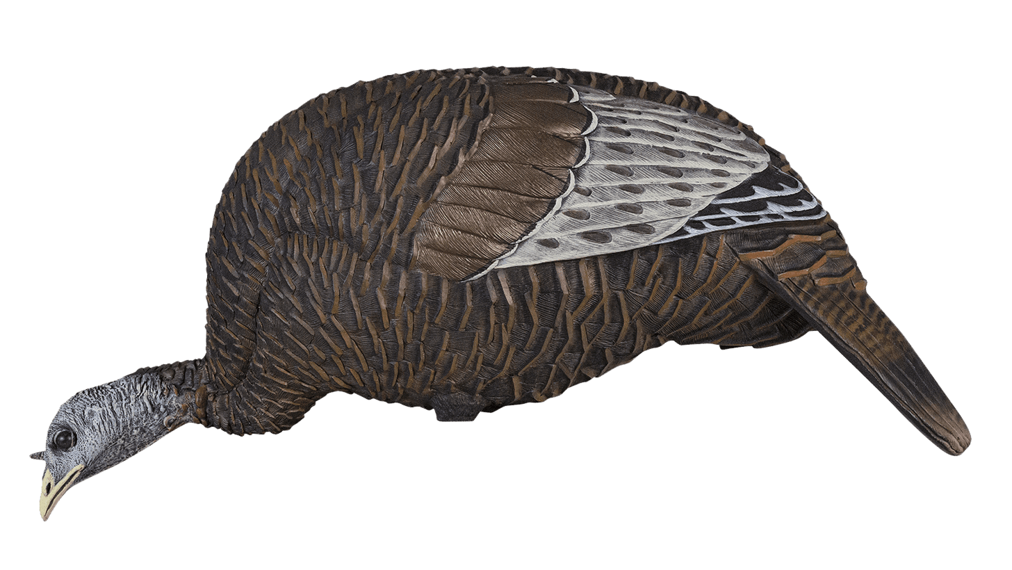 Flextone Thunder Chicken Combo Pack With Crow Shocker Turkey Call for sale online 