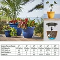 thumbnail image 4 of Bloem Ariana 10" Chocolate Round Self-Watering Resin Planter Pot - Rolled Rim Indoor and Outdoor Gardening Planter, 4 of 7