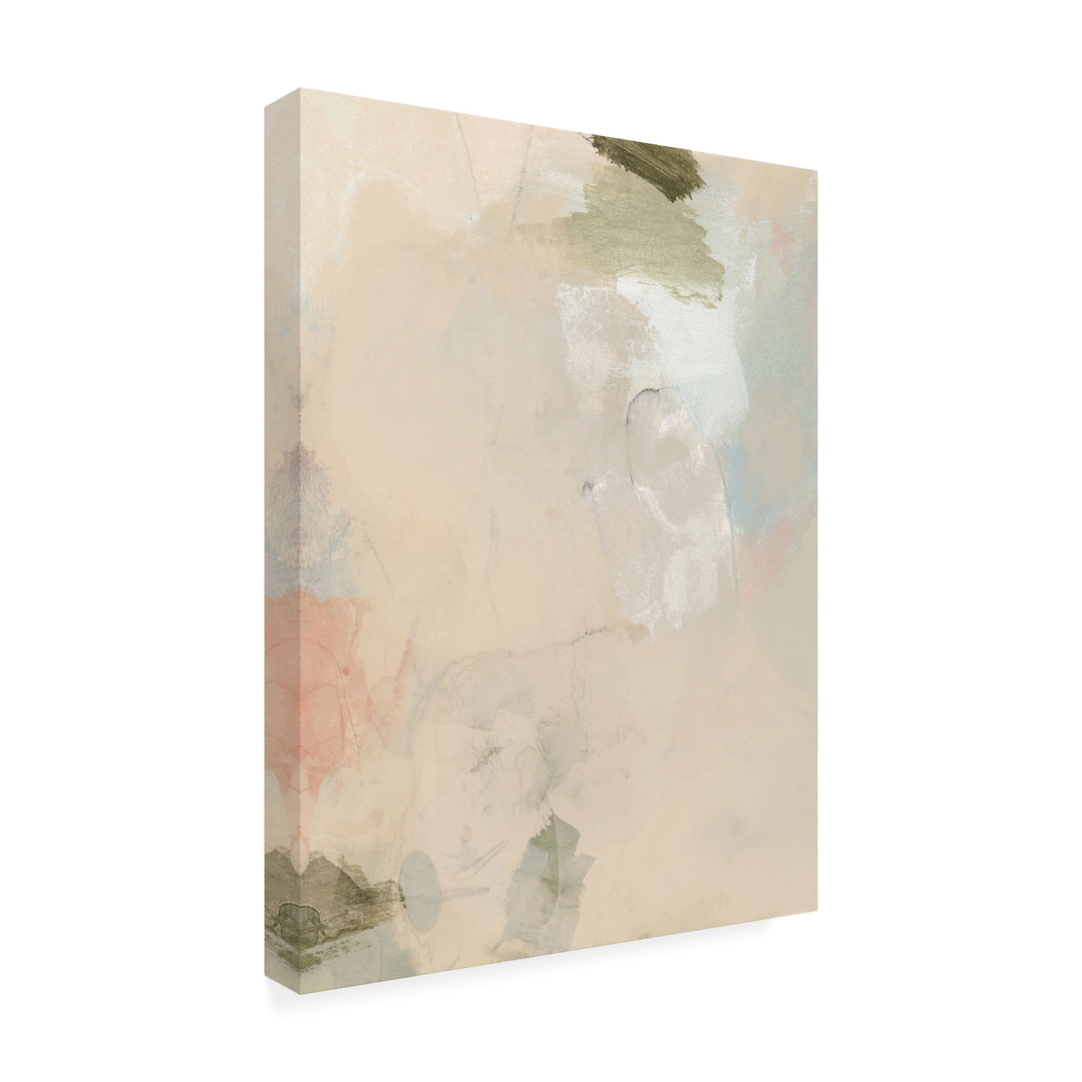 Trademark Fine Art Victoria Barnes  Muted Pastel III Canvas Wall Art