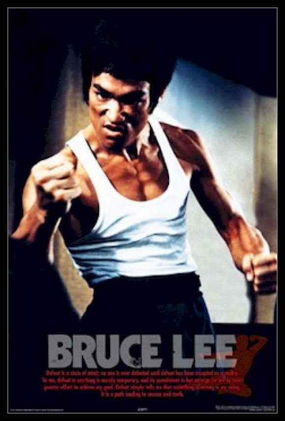 Bruce Lee Poster 14/" X 20/" XBox