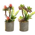 thumbnail image 1 of Simulación con varilla, combinación suculenta, bonsái, flor de simulación, decoración artificial creativa para el hogar, 2 uds., 1 of 5
