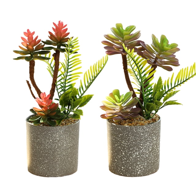 Simulación con varilla, combinación suculenta, bonsái, flor de simulación, decoración artificial creativa para el hogar, 2 uds.