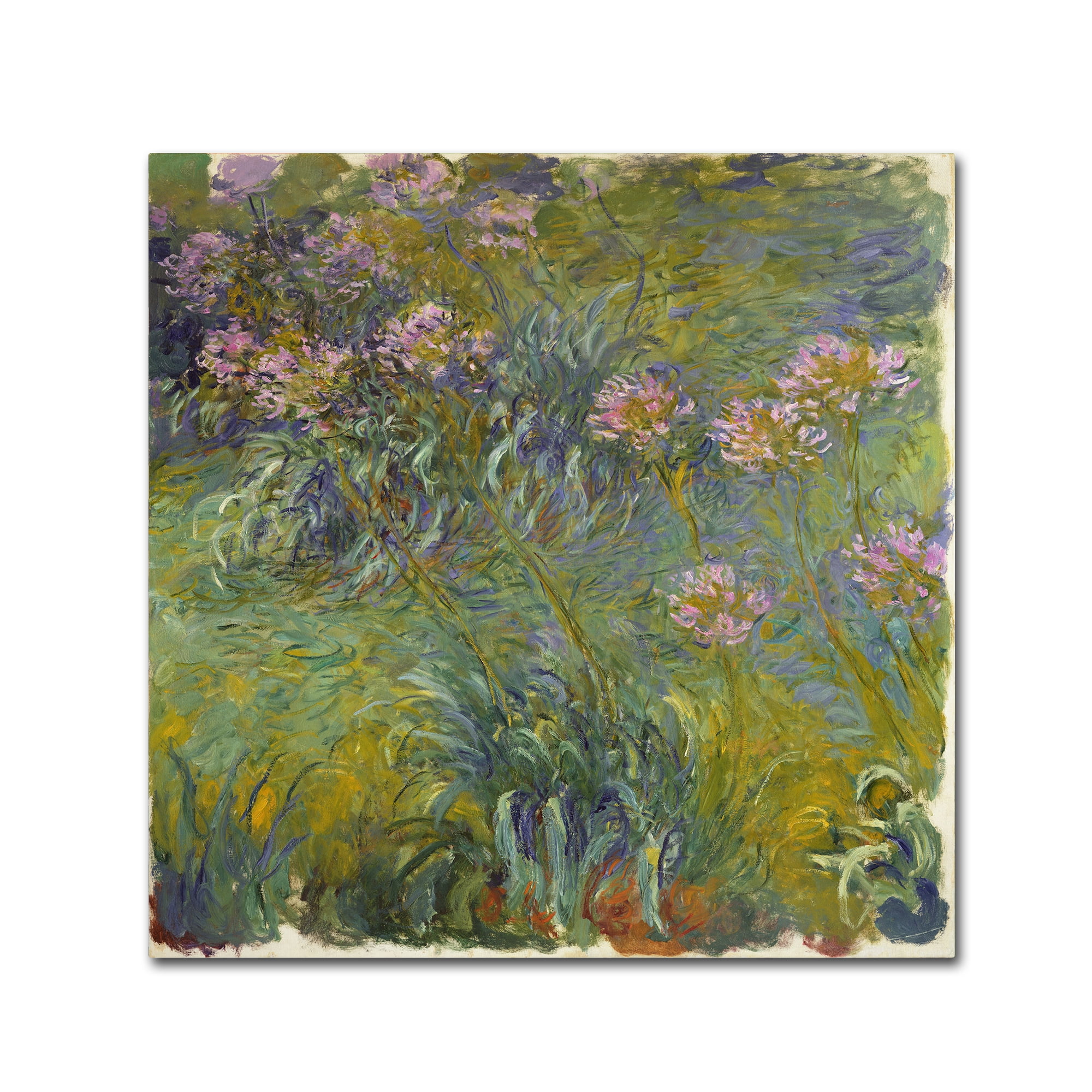 Canvas Print Art Print 1914 Gift Wrapped Archival Giclee Art Reproduction Fine Art Poster Claude Monet Agapanthus