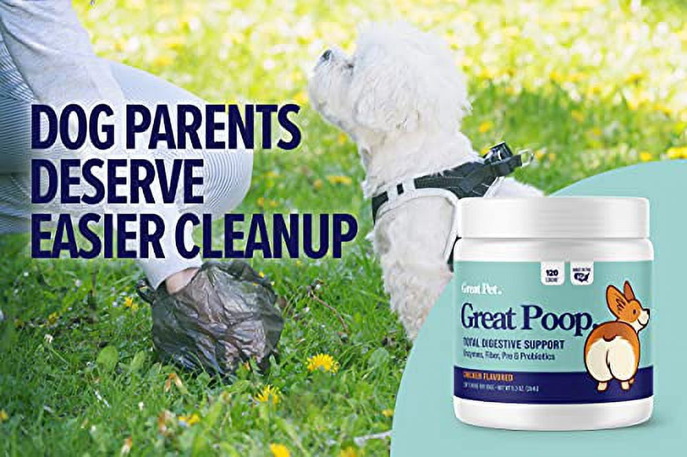 Great Poop Probiotics for Dogs - Fiber for Dogs Supplement with Dog Probiotics and Digestive Enzymes for a Healthy Gut, Firm Stool & Diarrhea Relief - Chicken Flavored Pet Soft Chews with Prebiotics