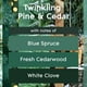 thumbnail image 2 of Recambios Glade Plugins para ambientador Twinkling Pine & Cedar, 2 of 6