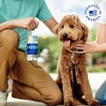 thumbnail image 5 of Dasani Water, Enhanced With Minerals, 16.9 Fl Oz Bottle (Pack of 10, Total of 169 Fl Oz), 5 of 6