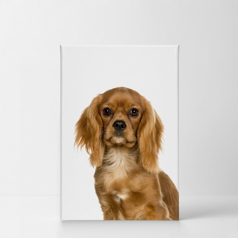 Cavalier king charles clearance spaniel dog lovers gifts