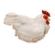 thumbnail image 1 of Adorno de gallina, modelo de artificial, accesorio didáctico, figura de simulación de pollo para el hogar, tienda, fiesta de Pascua en el patio., 1 of 8