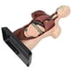 thumbnail image 1 of Modelo De Cuerpo Humano, Simulación De Modelo De Torso Humano Profesional Unisex Para Maestros Para Ayudas De Enseñanza, 1 of 7