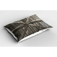 thumbnail image 2 of Ambesonne Country Pillow Sham 2 Pack, Old Door Rustic Life, 30"x20", Taupe, 2 of 3