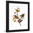 thumbnail image 4 of Audubon: Bunting, 1827, Animals Framed Art Print Wall Art by John James Audubon, 4 of 4
