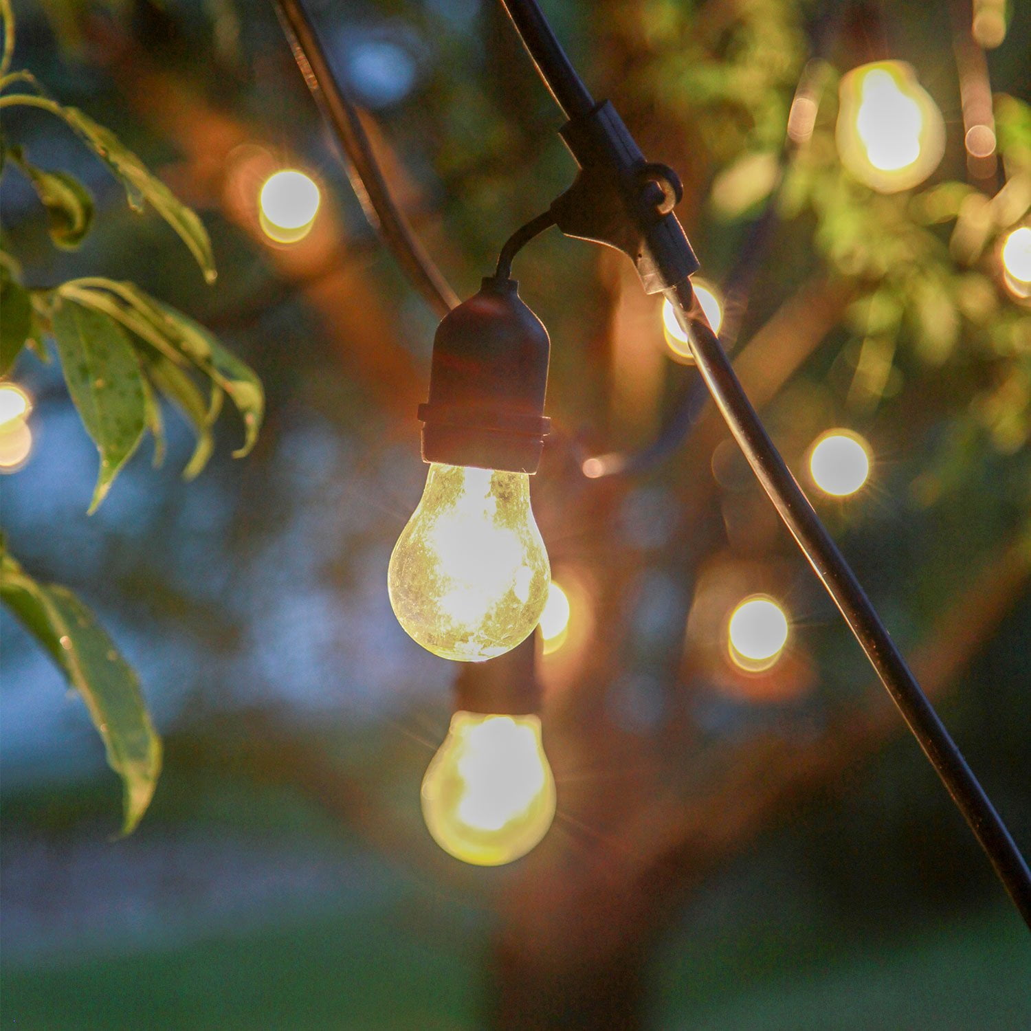 48 Ft Outdoor String Light With 15 Edison Style Bulbs Connectable 48 Ft Outdoor String Light With 15 Edison Style Bulbs Connectable Waterproof Ul Listed Com
