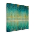 thumbnail image 2 of Trademark Fine Art 'Rain Abstract I' Canvas Art by Danhui Nai, 2 of 3
