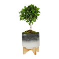 thumbnail image 3 of Planter with Wooden Stand and Fine Lines Design, Small, Gray, 3 of 5