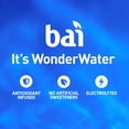 thumbnail image 3 of Bai Molokai Coconut Antioxidant Infused Water Beverage, 14 fl oz, 6 Pack Bottles, 3 of 9