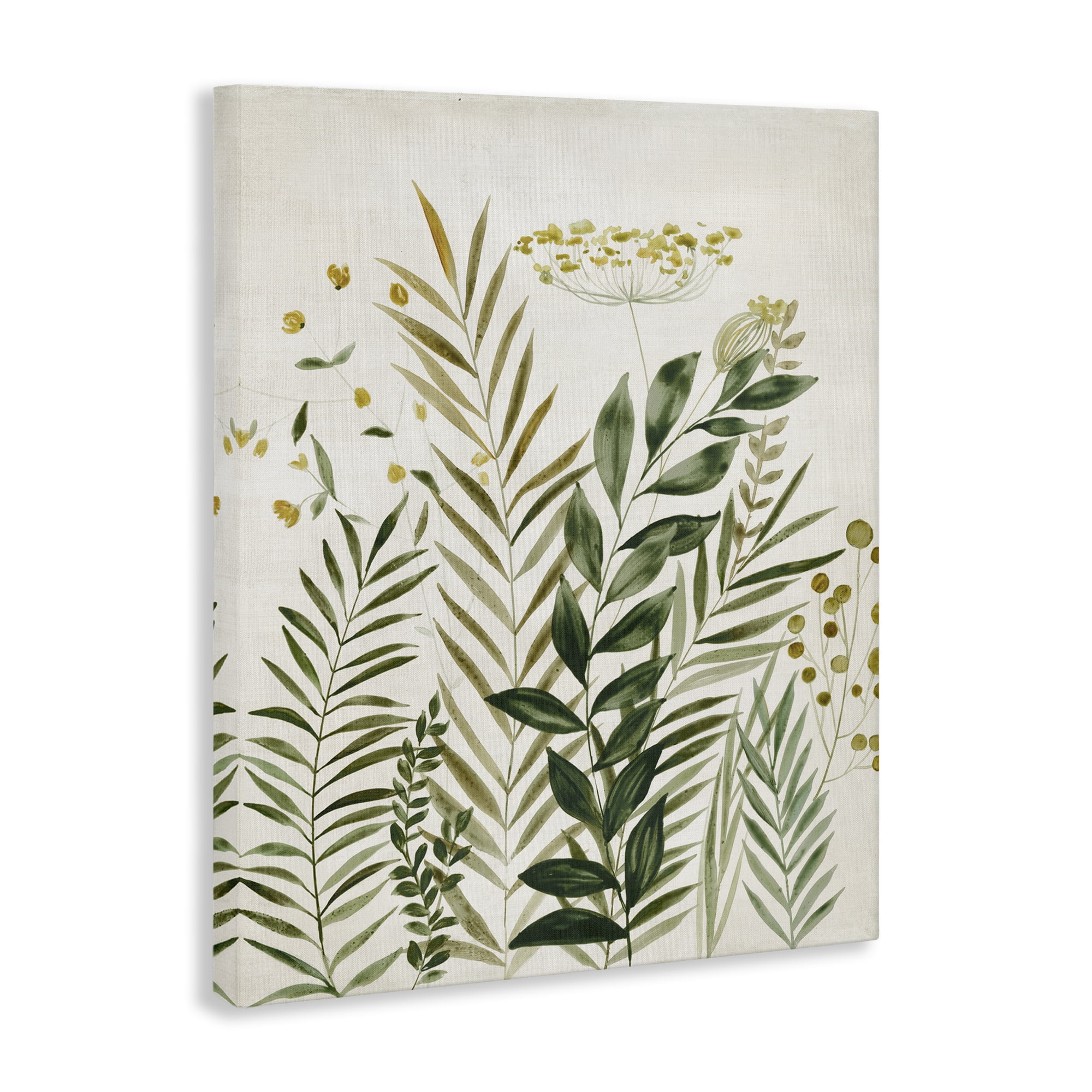 Stupell Industries Palm Leaves & Herbs Plants & Flowers Painting Wrapped Canvas Art Print Wall Art, 16 x 20