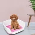 thumbnail image 3 of Orinal para Perros Yinane Interior con Cerca Rosado, 3 of 8