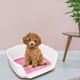 thumbnail image 3 of Bandeja para orinal para perros de interior con pared de protección, diseño de para baño, bandeja de entrenamiento para orinar, soporte par Rosado Salvador Inodoro con bandeja de arena, 3 of 8