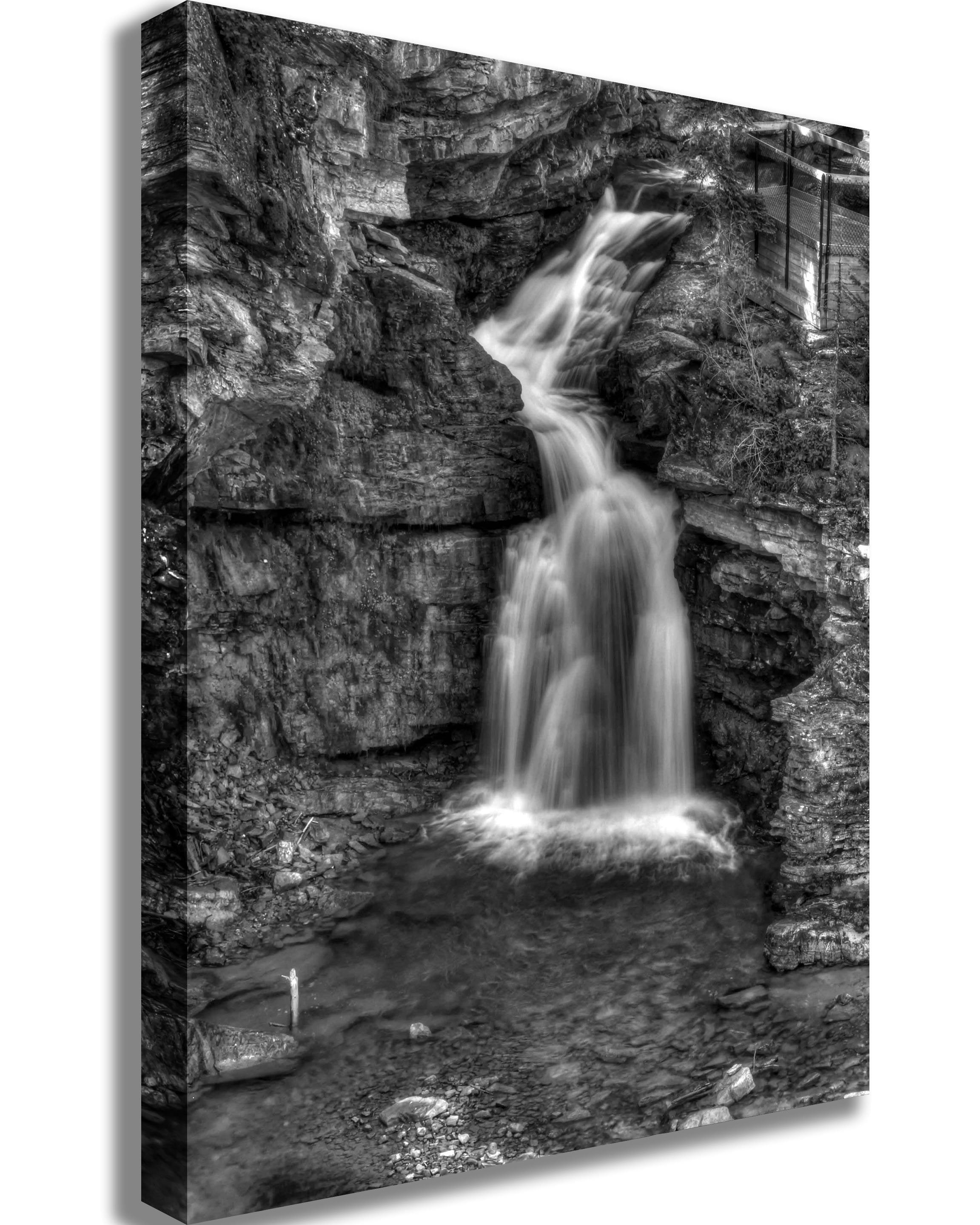Boer Black & White Waterfall Canvas Print