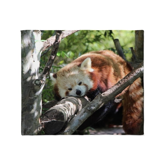 CafePress - Sleepy Red Panda Throw Blanket - Soft Fleece Throw Blanket, 50"x60" for All Ages