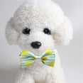 thumbnail image 4 of Collar para perro con pajarita desmontable Collar para perro Collar para perro ajustable, 4 of 5