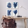 thumbnail image 2 of Stupell Industries Indigo Blue Ocean Plants Coastal Sea Kelp Nature Painting Gallery Wrapped Canvas Art Print Wall Art, 16 x 20, Set of 4, 2 of 5