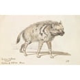 thumbnail image 3 of Charles Hamilton Smith 24x17 Black Modern Framed Museum Art Print Titled - The Hyena of Albara (1837), 3 of 5