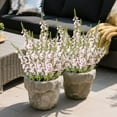thumbnail image 3 of Artificial Flowers for Outdoors Simulated Dawn Plastic Flowers Simulated Bouquet Outdoor Vacation Decoration Home Garden Artificial Flowers, 3 of 6