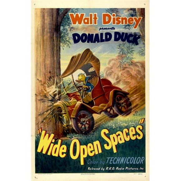 Posterazzi MOVAJ2176 Wide Open Spaces Movie Poster - 27 x 40 in.