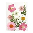 thumbnail image 1 of 13 piezas de flores secas prensadas, hojas de flores secas naturales para suministros de arte de uñas, Rosado, 1 of 9