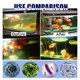 thumbnail image 3 of Tableta purificadora de agua de acuario Aqua Safe para pecera, 3 of 7